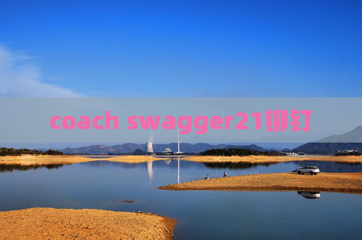 coach swagger21铆钉